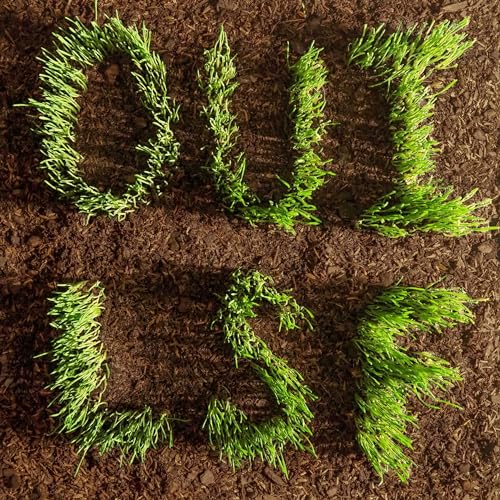 Les Savy Fav - Oui Lsf [CD]