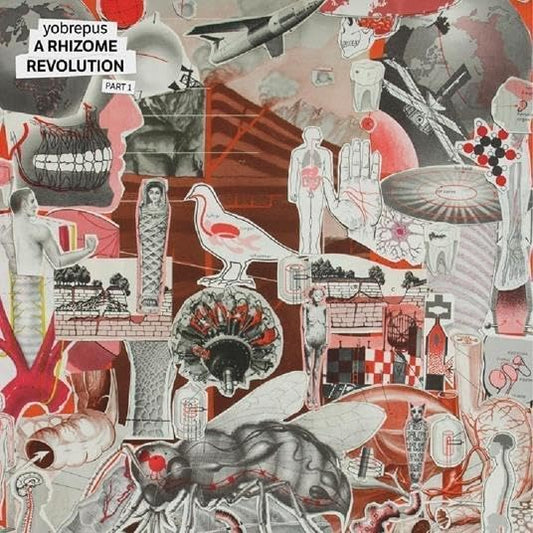 Yobrepus - A Rhizome Revolution Part 1 [VINYL]