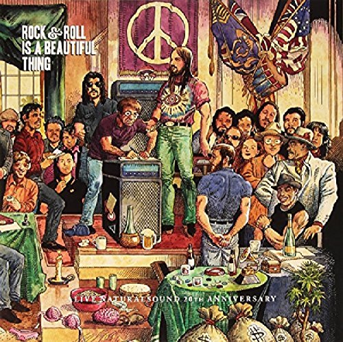 Various - Rock & Roll Is a Beautiful Thing: Alive Naturalsound 20th Anniversary [VINYL]