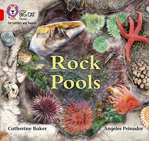 Book cover depicting colorful sea creatures in a rock pool setting.
