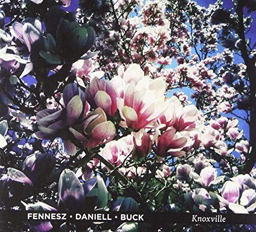 Fennesz / Deniell / Buck - Knoxville LP [VINYL]