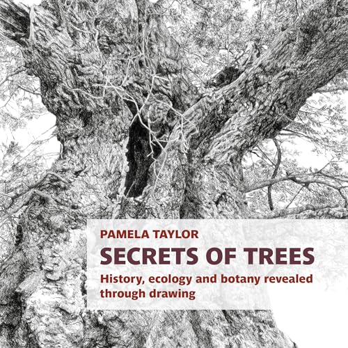 Secrets of Trees : History, ecology and botany revealed through drawing