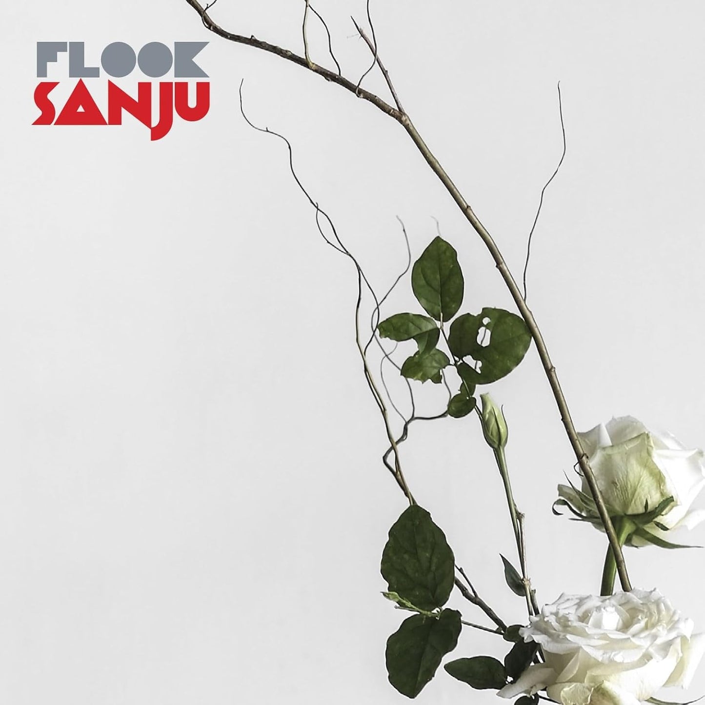 Flook - Sanju [CD]