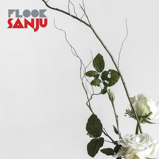 Flook - Sanju [CD]
