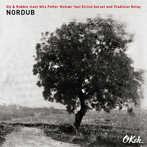 Sly & Robbie Nils Petter Mol - Nordub [CD]