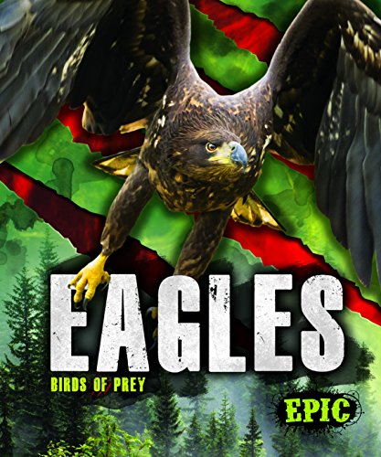 Eagles (Birds of Prey)