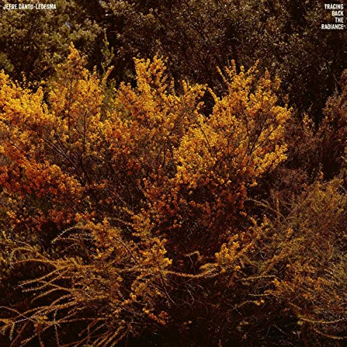 Jefre Cantu-ledesma - Tracing Back The Radiance  [VINYL]
