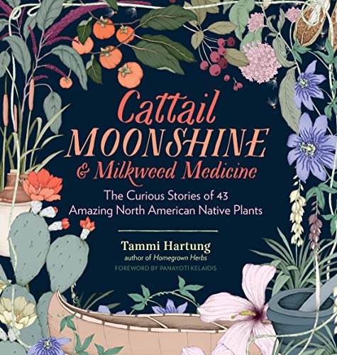 Cattail Moonshine & Milkweed Medicine : The Curious Stories of 43 Amazing North American Native Plants