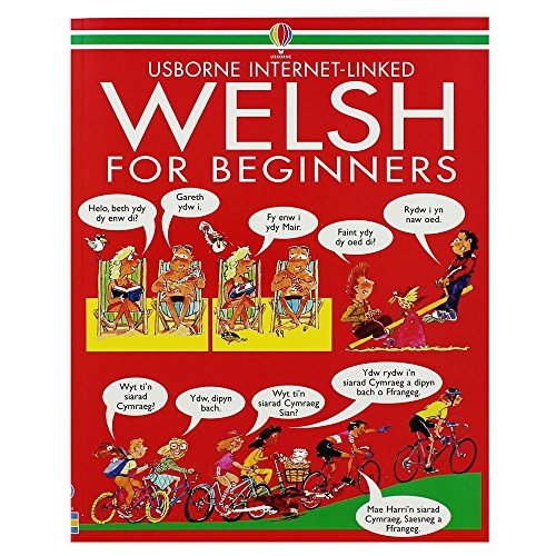 Angela Wilkes Welsh For Beginners