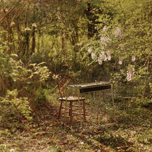 Luke Schneider - For Dancing In Quiet Light [VINYL]