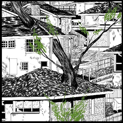 Pile - Odds And Ends [CD]