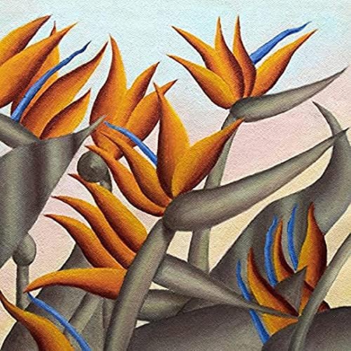 Paradise Club - Paradise Club [VINYL]