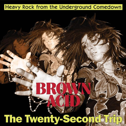 Brown Acid - Twenty-second Trip [CD]