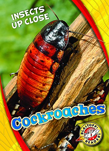 Cockroaches (Insects Up Close)