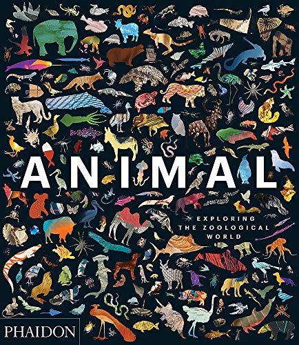 Animal: Exploring the Zoological World
