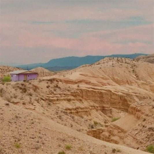 Lavender - lowlight:lowlight [VINYL]