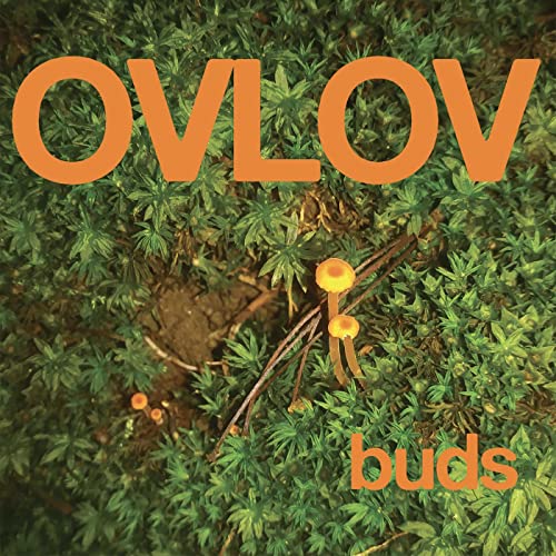 Ovlov - Buds [VINYL]