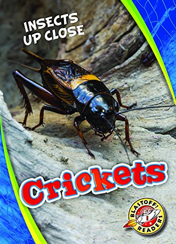 Crickets (Insects Up Close)