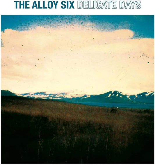 Various - Delicate Days [VINYL]