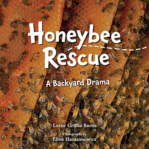 HONEYBEE RESCUE