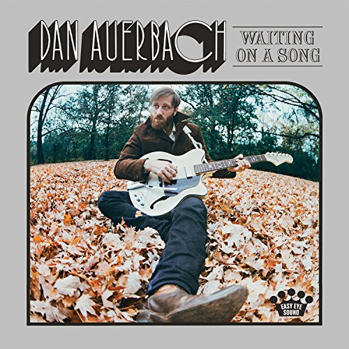 Dan Auerbach album cover: man with guitar in autumn leaves.