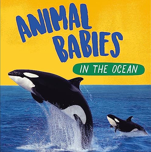 Animal Babies: Ocean Babies