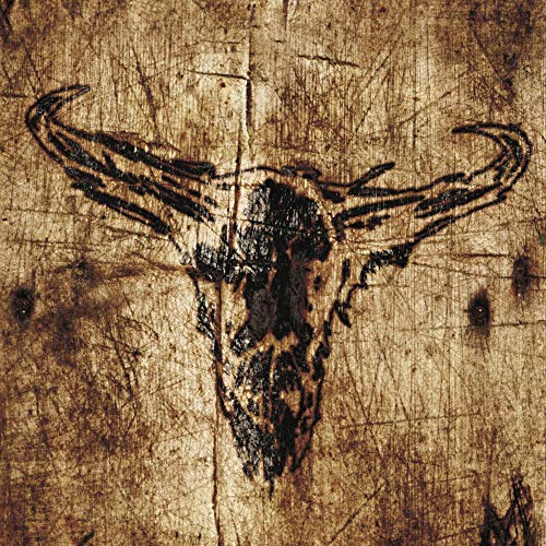 Upon A Burning Body - Southern Hostility  [VINYL]