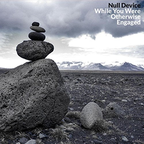 Null Device - While You Were Otherwise Engaged [CD]