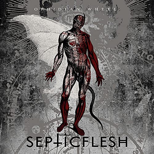 Album cover featuringSB featuring a red anatomical figure with wings on a grey background.