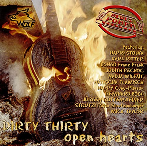 CD cover for “Dirty Thirty” featuring a guitar in flames.