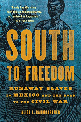 South to Freedom : Runaway Slaves to Mexico and the Road to the Civil War
