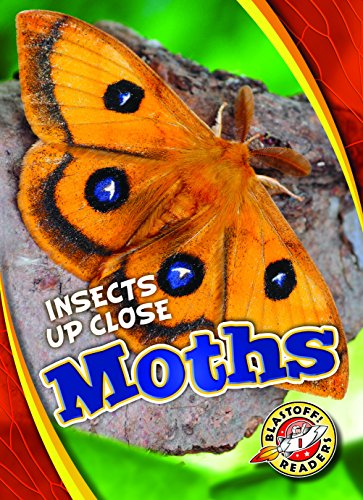 Moths (Insects Up Close)
