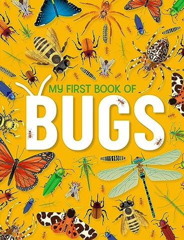 My First Book of Bugs: An Awesome First Look at Insects and Spiders: 1