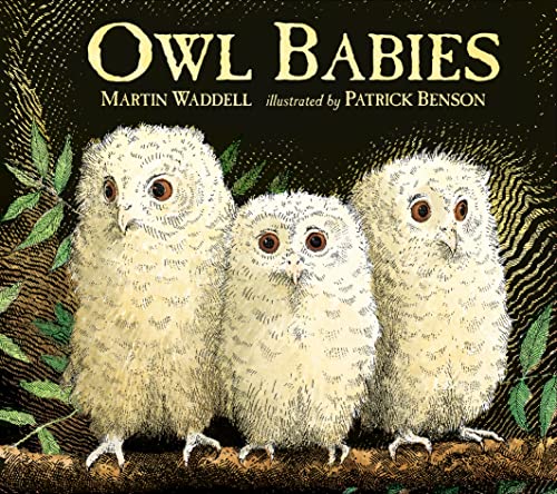 Owl Babies: 1