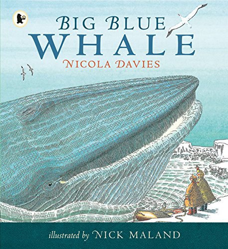 Big Blue Whale: 1