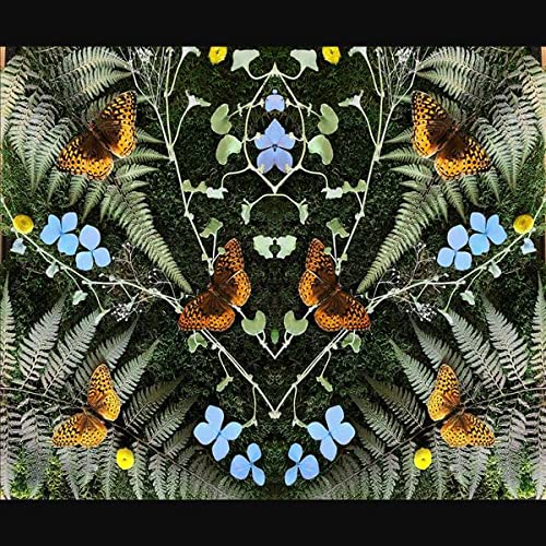 CD cover with symmetrical arrangement of ferns, butterflies, and blue flowers.