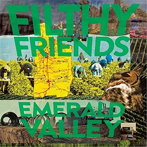 Various - Emerald Valley [VINYL]