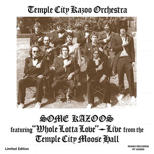 Temple City Kazoo Orchestra - Some Kazoos [12"] [VINYL]