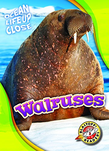 Walruses (Ocean Life Up Close)