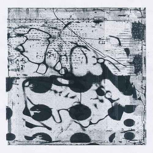 Simon Lanz / Tobias Lanz - Arches [VINYL]