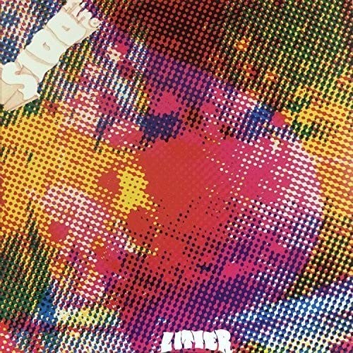 The Litter - $100 Fine [VINYL]