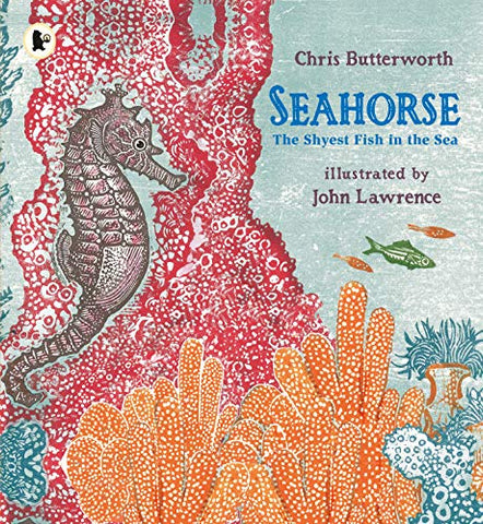 Seahorse: The Shyest Fish in the Sea: 1