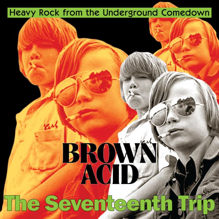 Various - Brown Acid: The Seventeenth Trip [VINYL]