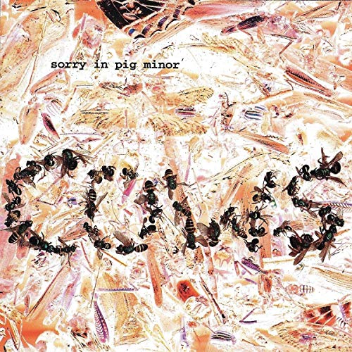 Cows - Sorry In Pig Minor [CD]
