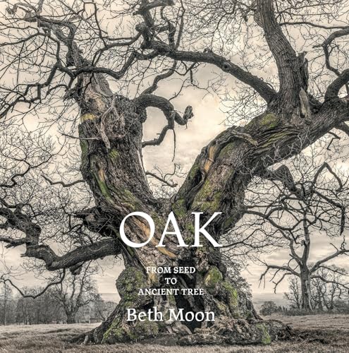 Oak : From Seed to Ancient Tree