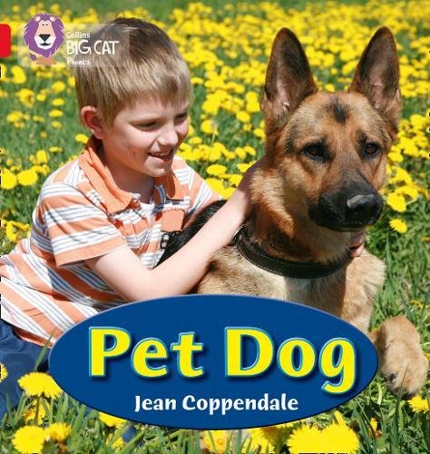 PET DOG: Band 02A/Red A (Collins Big Cat Phonics)
