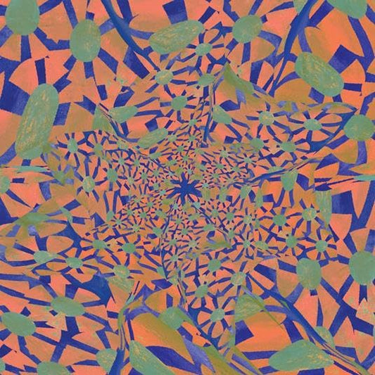 Willhofbauer - The Shovel Is A Shovel Was A Shovel [VINYL]