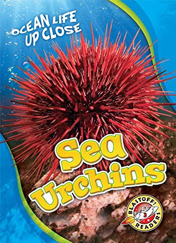 Sea Urchins (Ocean Life Up Close)