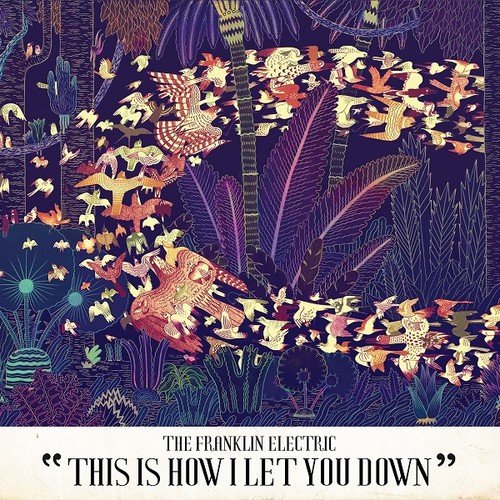 Franklin Electric, The - This Is How I Let You Down  [VINYL]