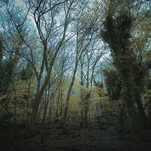 Worriedaboutsatan - Time Lapse [VINYL]